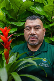 Interior Plant Design Experts in Baltimore, D.C. and VA