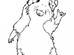 Glitter force doki doki davi coloring boo. 6 Best G Force Coloring Pages For Kids Updated 2018