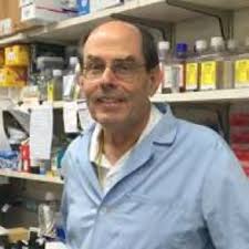 NIH/FDA Immunology Interest Group 2025 Workshop Program & Abstract Booklet