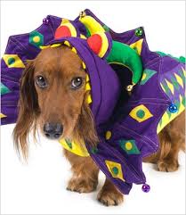 Mardi Paws Dragon Costume For Dogs Size 1 8 L X 10 5 X 12 G