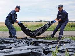 Check spelling or type a new query. Flug Mh17 Chaotische Zustande Am Absturzort Welt