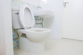 Maybe you would like to learn more about one of these? Common Toilet Issues You Can Repair Yourself