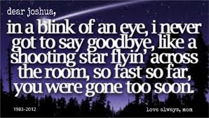 Joshua 1983 2012 Pinned By Brenda Kools Underwood I Didn T Get To Say Goodbye Sadness Grief Gone Too Soon Quotes Quotes Gone Too Soon
