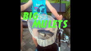 Street Fishing Gros Mulet Et Saupe Au Pain Et Worms Ali Express Youtube