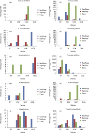 Image result for Lipocarpha rehmannii