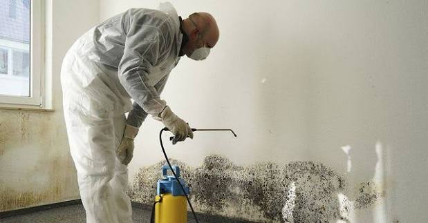 Commercial Mold Removal warning signs