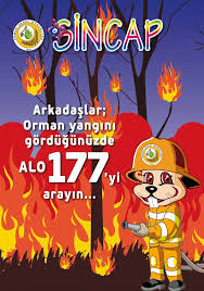 Türkiye'de orman yangınları / yangına nasıl müdahale ediliyor? Https Www Ogm Gov Tr Tr E Kutuphane Sitesi Sincapcocuk Sincap2017 02 Pdf