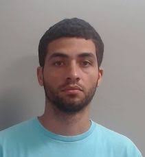 Sex Offenders near Combee Elementary School