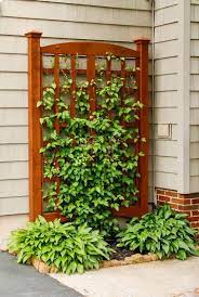 One of the things that contributes to our house being extra walkable to shops, parks, the beach, and restaurants is that it's less like a sprawling suburban the raised planter box gave the plants a nice head start on getting them tall enough to actually create privacy, and the trellis was actually really. 22 Best Diy Trellis Ideas Easy Garden Trellis Project Designs