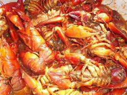 Ecrevisses A L Americaine Recette Recettes De Cuisine Ecrevisse Recette Fruits De Mer Cajun