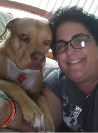 Board of Directors & Board of Advisors