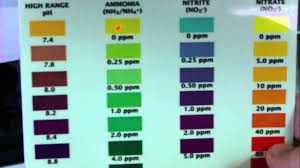 Api Water Test Color Chart Www Bedowntowndaytona Com