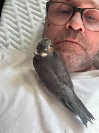 Good morning everyone 👋😴😴😴😴xx