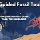 Fossil Tour event image