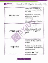 Begin with a single cell and watch as mitosis and cell division occurs. Cell Cycle Order