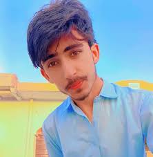 Where to find a blue PF male bird in light color, 7.5 months old?