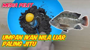 Resep umpan ikan mas babon paling jitu dan cara meraciknya. Serbuk Pengumpul Untuk Umpan Ikan Mas Patin Bawal Dan Nila Serta Mujaer By Jo Hiro