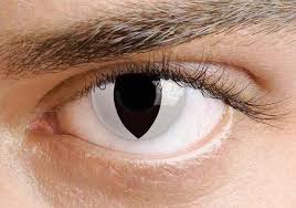 Halloween costumes.com is offering free shipping. 40 Ideen Fur Halloween Kontaktlinsen Fur Die Halloween Nacht Kontaktlinsen Halloween Weisse Kontaktlinsen Kontaktlinsen