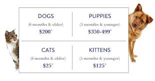 How Much Does It Cost To Adopt A Dog Http Pets Ok Com How Much Does It Cost To Adopt A Dog Dogs 4900 Html Dog Adoption Adoption Pets