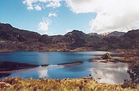 Entdecke deine lieblingsrosen in der großen farbvielfalt auf lieblingsrosen.com! Ecuador Wikipedia