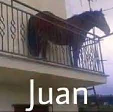 Pin On Memes De No C
