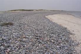 The aage is therefore the only representative body in the australian graduate. Strand Und Steine De