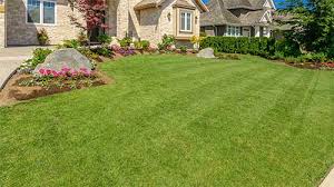 Maybe you would like to learn more about one of these? Lawn Landscaping Maintenance Company In Seguin Tx Square One Lawn Care