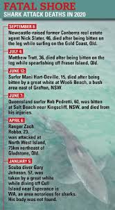 Any negative publicity is a concern to hawaii's tourist industry, which is so. Shark Attacks This Year Are Way Above The Numbers In Any Recent Period What S Going On And Should We Be Afraid Mandurah Mail Mandurah Wa