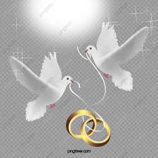 ناقلات خاتم الزواج عالية الدقة جميلة حمامة png وملف psd للتحميل مجانا in 2021 clip art vector wedding rings