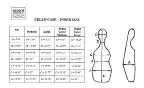 accord cello case