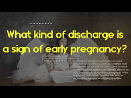 Are you looking know what does pregnancy discharge look like? How Pregnancy Discharge Look Like What Kind Of Discharge Is A Sign Of Early Pregnancy Youtube