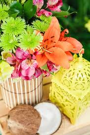 We did not find results for: These Are The Only Tropical Themed Party Ideas You Need With Photos