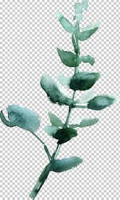 We did not find results for: Leaf Watercolor Painting Green Png Clipart Branch Emerald Emerald Green Leaves Fall Leaves Green Free Png