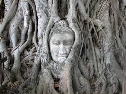 Image result for Buddha