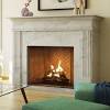 Replacement double door fireplace glass for country flame. 1