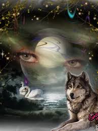 Pin On Wolf