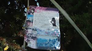 Les Aventures De La Pieuvre A La Coume D Azazel Les Mysteres De Rennes L Rennes Le Chateau Rennes Et Le Mystere