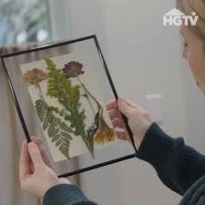 Drying flowers in a microwave oven. Hgtv Canada How To Make Press And Dry Flower Art Home Town Facebook