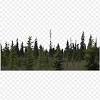 21 png, green forest, forest by lake, forest with green field, png images with transparent background png 3500*946 px size: Https Encrypted Tbn0 Gstatic Com Images Q Tbn And9gcqz8z1bularjbdkklb7ydy Rfxqqa Ilgoe87 Ps1jjwaw6lnjh Usqp Cau
