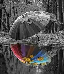 160 Black And White Splash Of Colour Ideas Color Splash Color Splash Photography Black And White