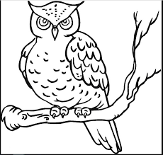 More images for sketsa gambar hewan burung hantu » 35 Sketsa Burung Merpati Hantu Merak Kakak Tua Pelajarindo Com