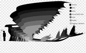 How to draw toothless stitch, step by step, drawing guide, by dawn. How To Train Your Dragon Drawing Toothless Art Dragon Dragon Monochrome Adult Png Pngwing