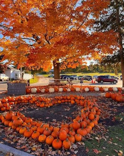 Fall is almost in the air. 🎃🌬️ Only two more weeks until the first  official day of Fall! 🍂 #Halloween #Autumn #Fall #October 📷:  isabellefarrand on Pinterest