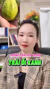 Hướng dẫn làm trend " TRÁI ỔI XANH " #trending #xuhuong #xaykenhtiktok  #kiemtientiktok #Lan93 #danglanshop