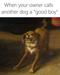 30 Adorably Amusing Animal Memes That Ll Give You A Heckin Chortle Funny Art Memes Classical Art Memes Funny Memes