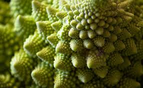 Egoutté et assaisonné de quelques. Choux Romanesco Quels Sont Ses Bienfaits Pour Le Sportif Https Www Masterfight Net