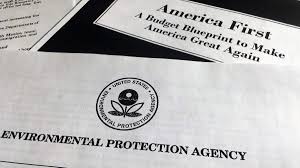 A Trump operative is making decisions