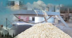 A Complete Guide to Setting Up a Rice Processing Plant in Nigeria - SME  Guide