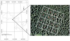 De nieuwste truuk van duivenmelker albert de vlieger uit balegem, om de aankomers van de langeafstandsvlucht uit quiévrain supersnel naar beneden te lokken? Forests Free Full Text Effects Of Tree Trunks On Estimation Of Clumping Index And Lai From Hemiview And Terrestrial Lidar Html