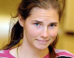 Amanda Knox wants donations for upcoming wedding, but court documents show  she's already married
